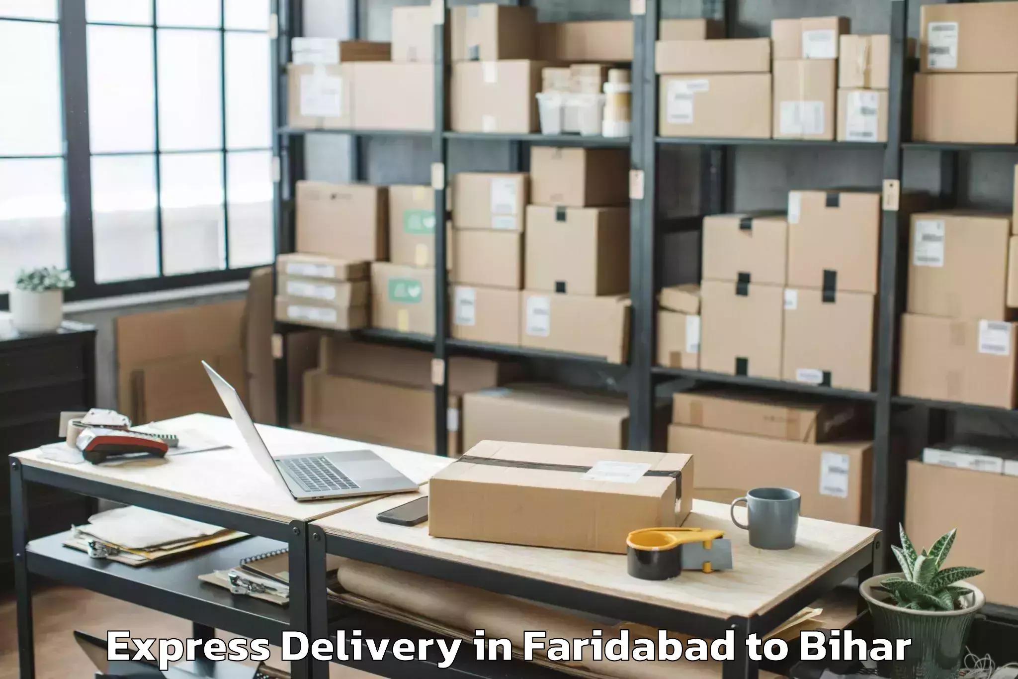 Top Faridabad to Manjhaul 3 Express Delivery Available